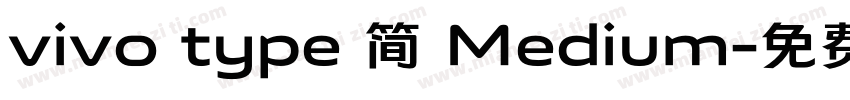 vivo type 简 Medium字体转换